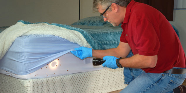 average bed bug treatment costs