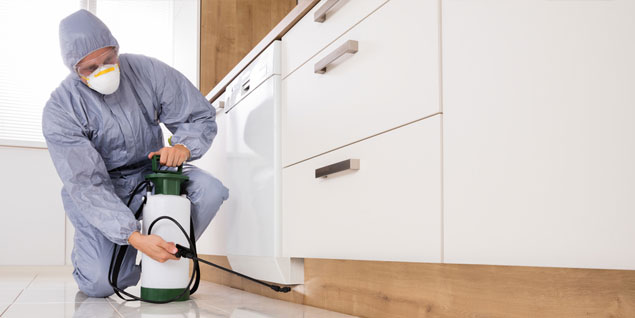 price guides for home pest control services