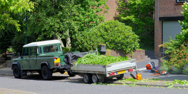how to cut down your hedgerow