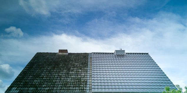 free roof cleaning quotes online