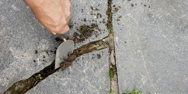 repairing cracked patio grouting