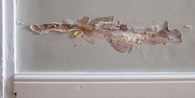 rising damp removal costs