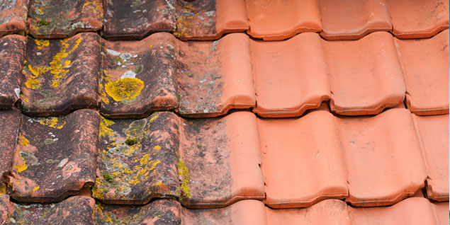 compare local roof cleaning services online