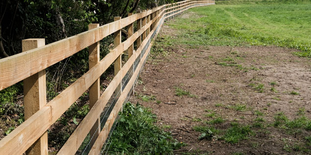 square cut post and rail fencing